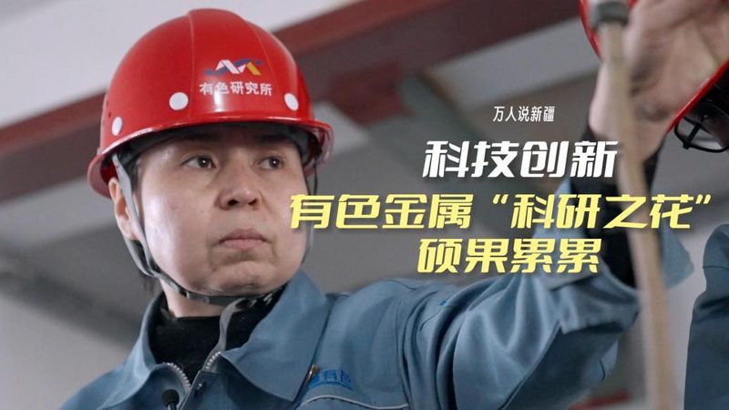 机器学习平台功能定制开发：揭秘定制化背后的关键因素